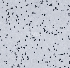 Линолеум Forbo Sphera Ec 450007 grey sky фото 1 | FLOORDEALER